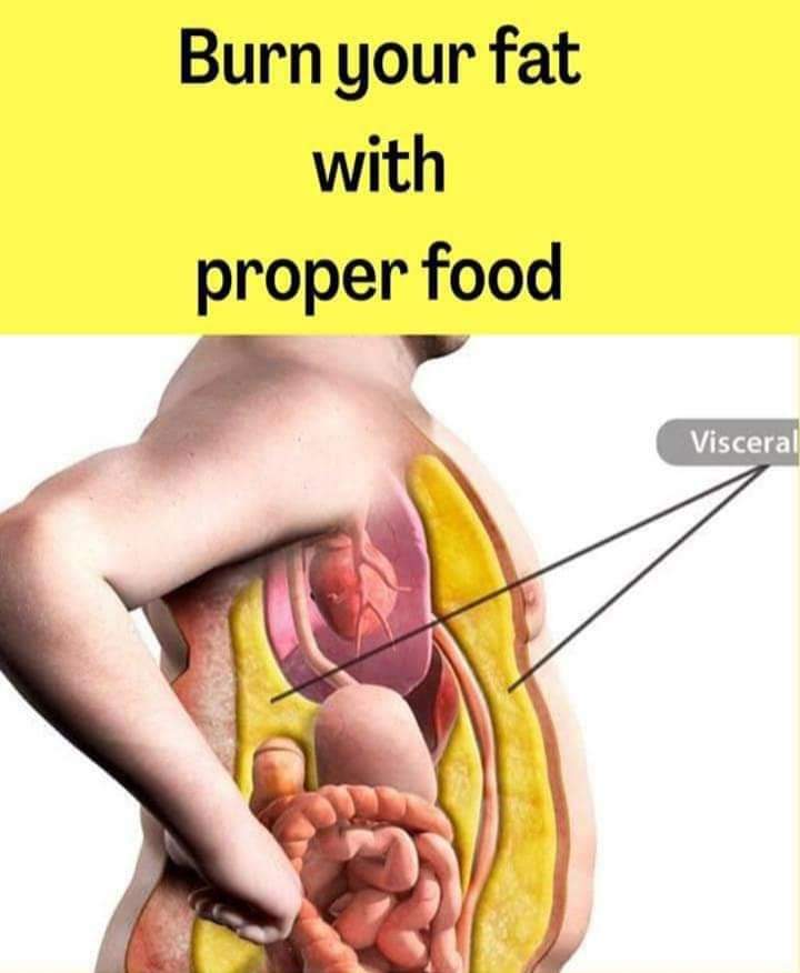 Eat N Fit Wellness & Fitness Solution Ottappalam